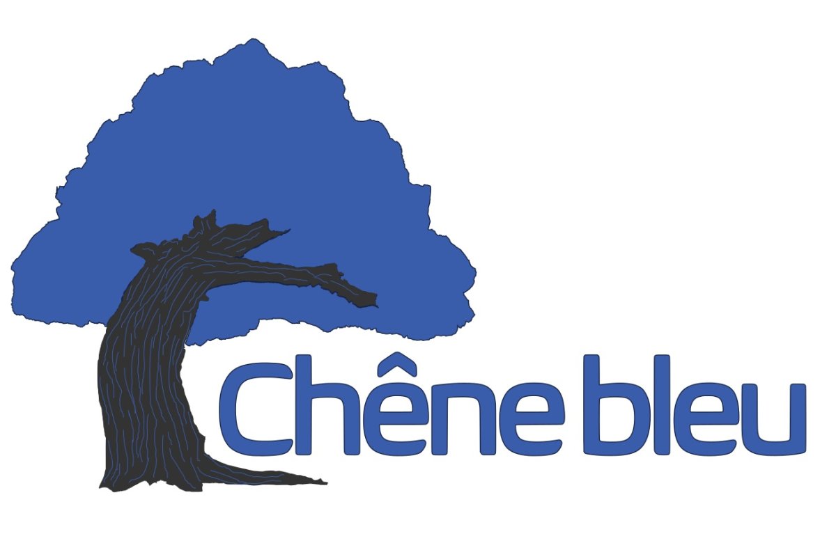 Chêne bleu